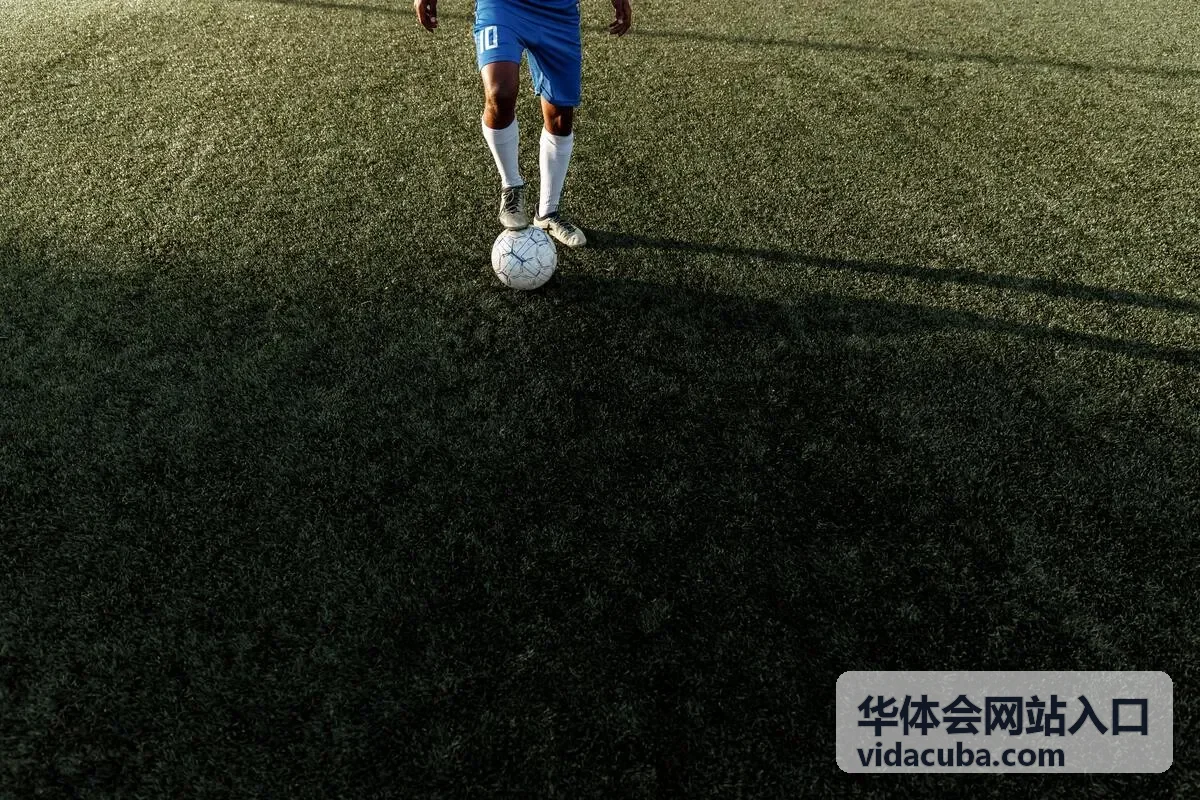 华体会网站入口栏目更新要点封面